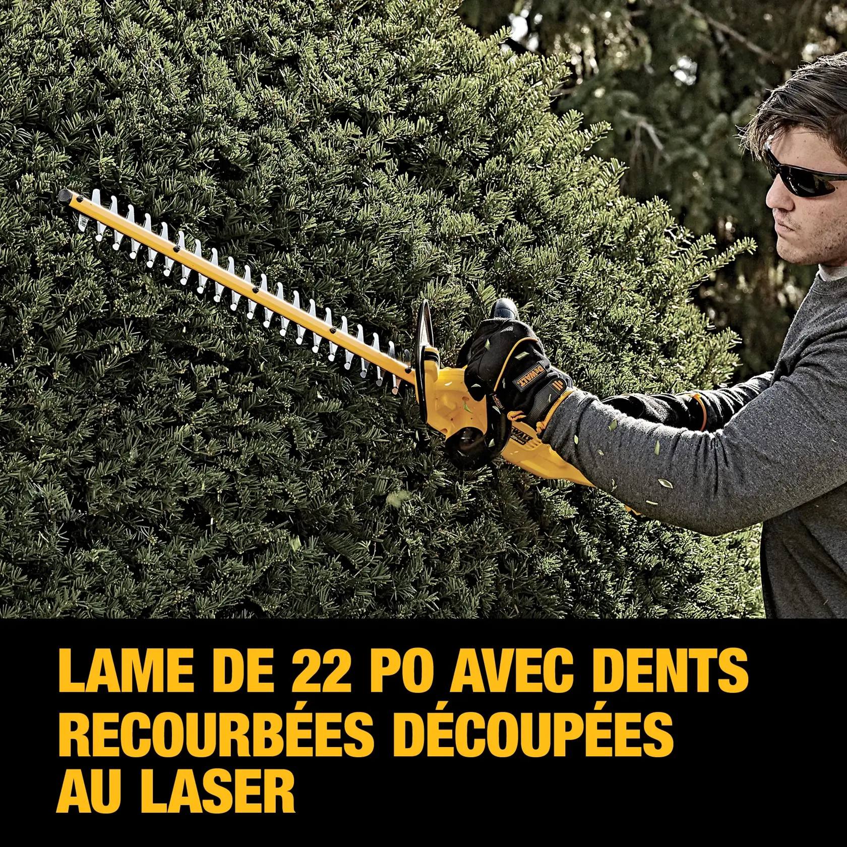 Image of a DEWALT DCHT820B hedge trimmer tool in yellow and black colors, shown with a long cutting blade and ergonomic handle. Product information is displayed above the tool.