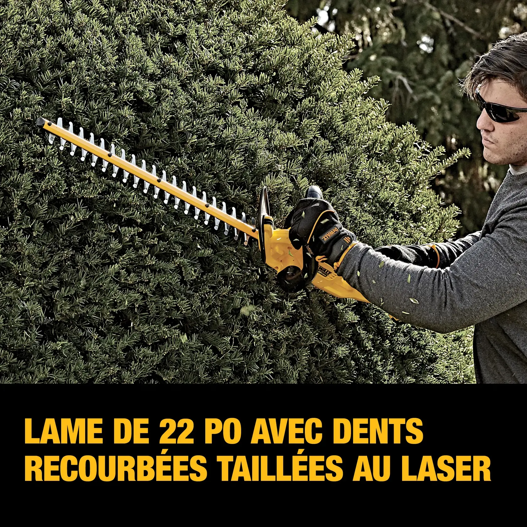 Close-up of a DEWALT hedge trimmer blade with a text overlay stating '3/4'' cut capacity' in bold yellow letters.