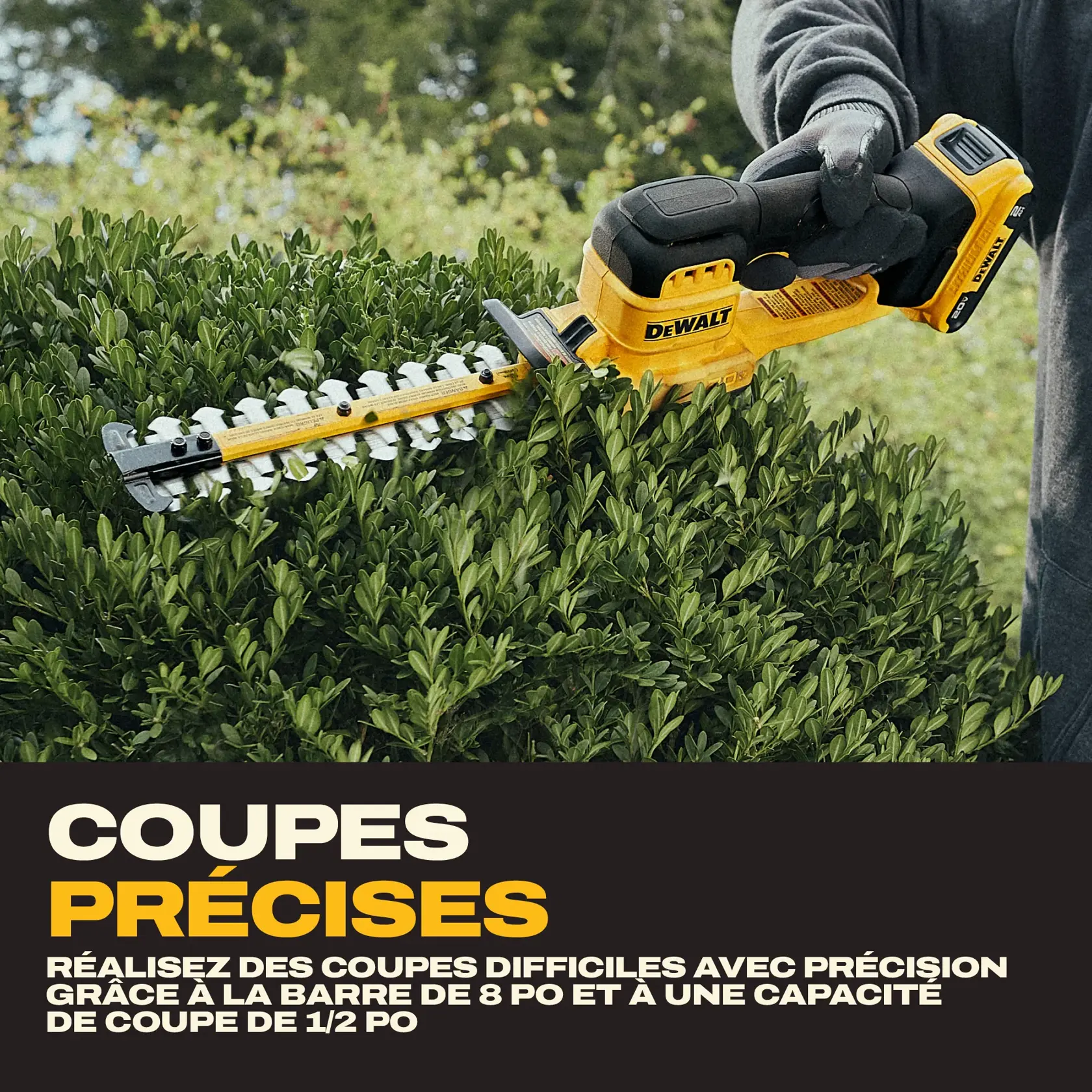 A person using a DEWALT cordless hedge trimmer with an 8-inch bar to precisely trim a shrub. The image highlights the product's cutting capacity and accuracy. Promotional text reads: 'Precision Trimming. Make difficult cuts with precision utilizing the 8 in. bar and a 1/2 in. cut capacity.'