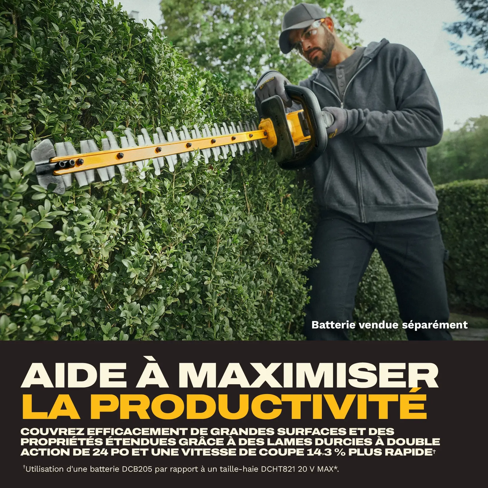 A person is trimming a hedge outdoors using a DEWALT DCHT826B cordless hedge trimmer with dual-action hardened blades. The hedge trimmer is shown cutting the greenery efficiently. Text on the image highlights increased productivity and faster cutting speed. The battery is noted as being sold separately.