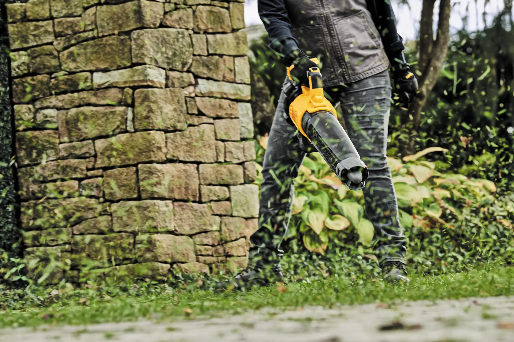 A person is using a DEWALT cordless leaf blower outdoors near a stone wall, blowing leaves and grass.