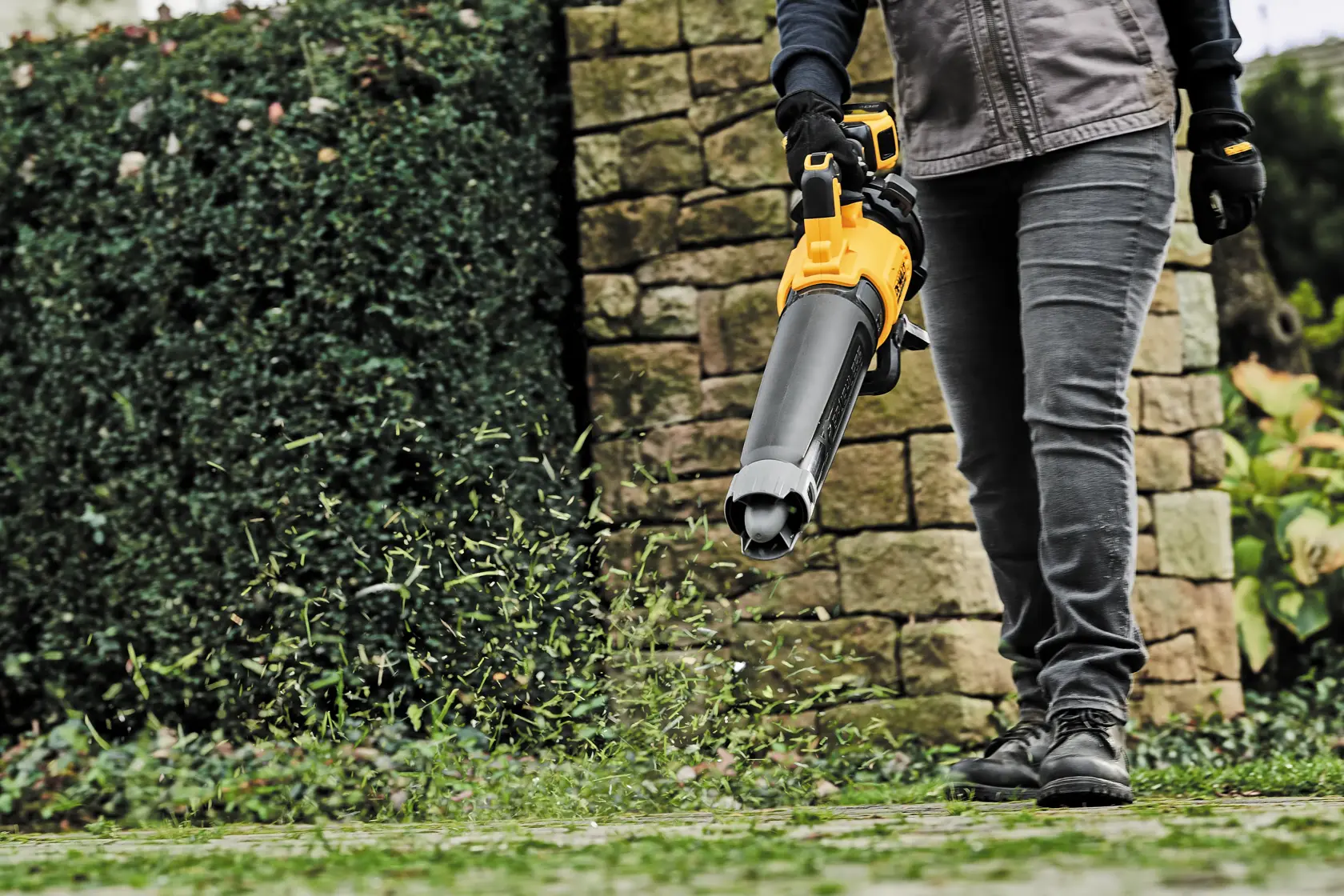 A person using a DEWALT cordless leaf blower to clear leaves and debris from a garden path, with a stone wall and hedges in the background.