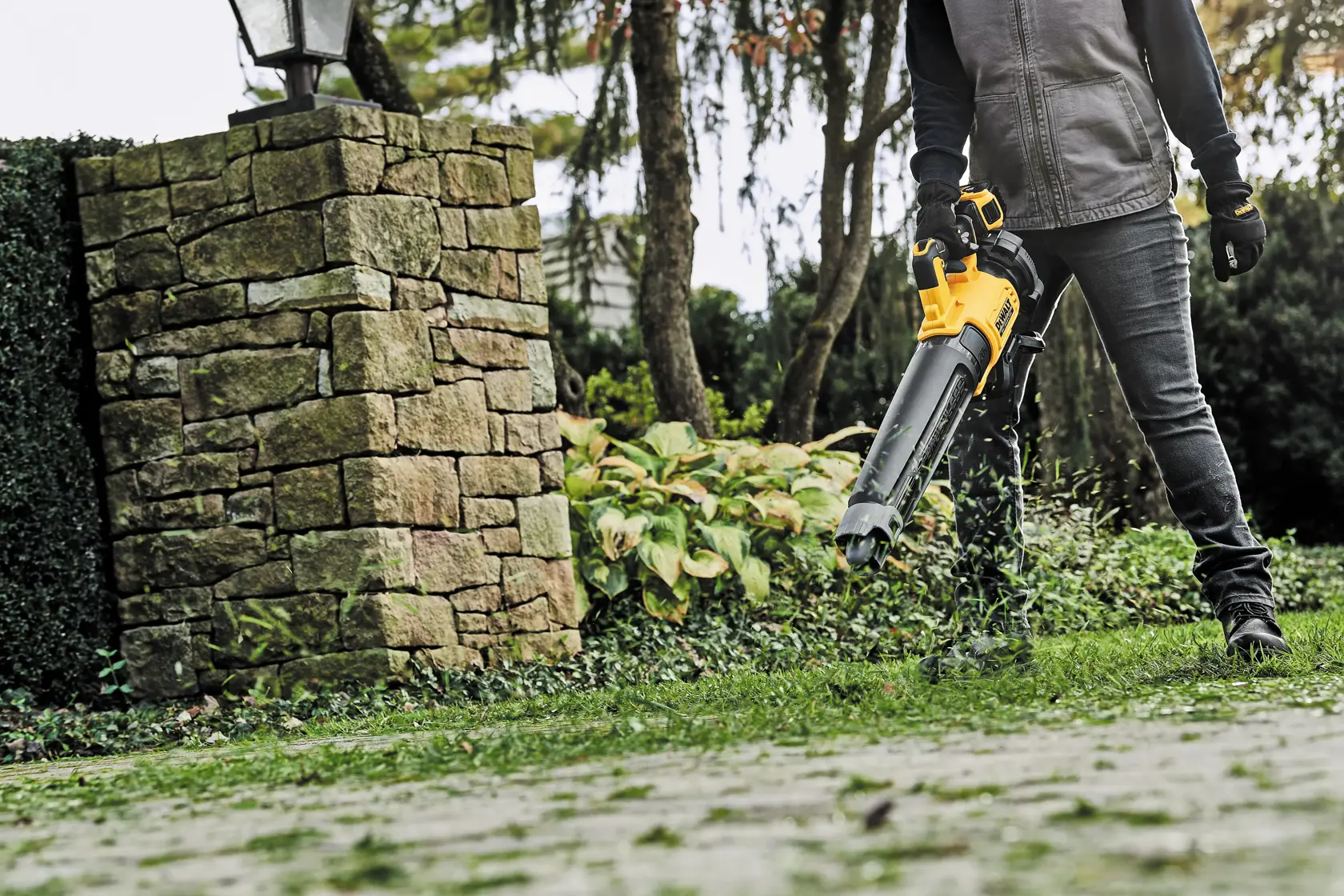 Person using a DEWALT cordless leaf blower to clear grass and debris from a garden area near a stone wall.