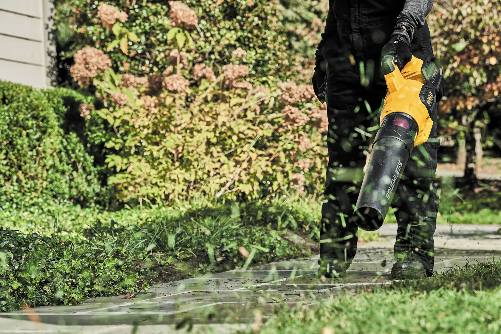 A person uses a yellow and black DEWALT cordless leaf blower to clear grass and debris from a sidewalk in a garden setting.