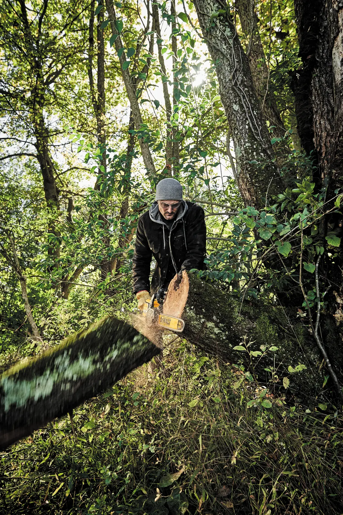 A person using a DEWALT chainsaw to cut through a fallen tree branch in a forested area. The individual is wearing outdoor clothing and gloves, with their face blurred for privacy. Sunlight filters through the trees, highlighting the natural surroundings.