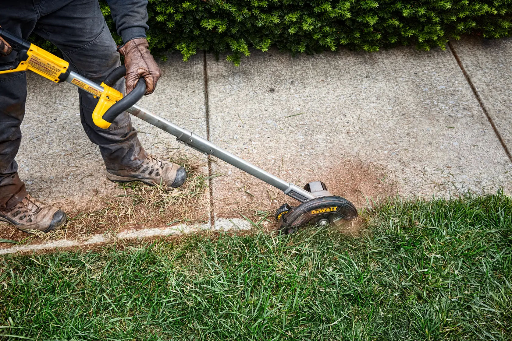 A person uses a DEWALT cordless lawn edger to trim the edge of grass along a sidewalk. The tool creates a clean separation between the sidewalk and the lawn.