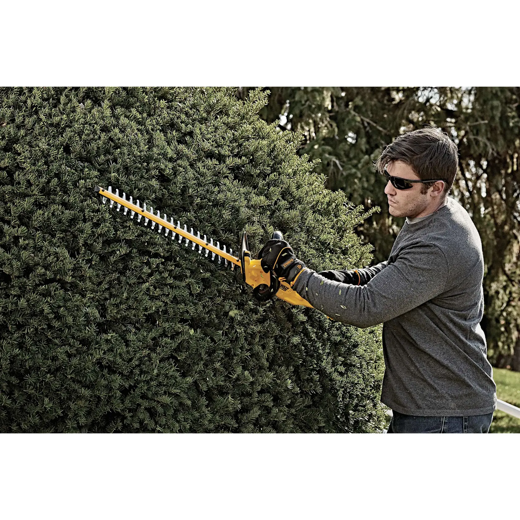 A person wearing gloves is using a yellow DEWALT hedge trimmer to trim a large bush outdoors. The person's face is blurred for privacy.