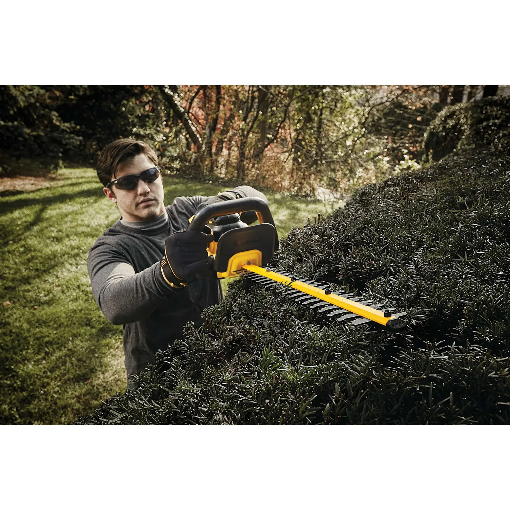A person using a DEWALT cordless hedge trimmer to trim bushes in a garden. The person is wearing gloves and has their face blurred for privacy.