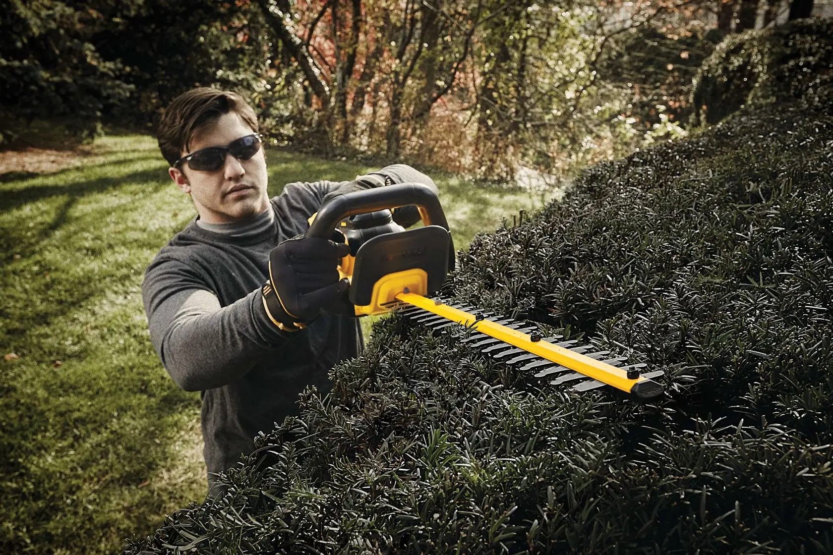 A person using a DEWALT cordless hedge trimmer to trim bushes outdoors. The hedge trimmer has a yellow and black design and is being used on dense greenery.