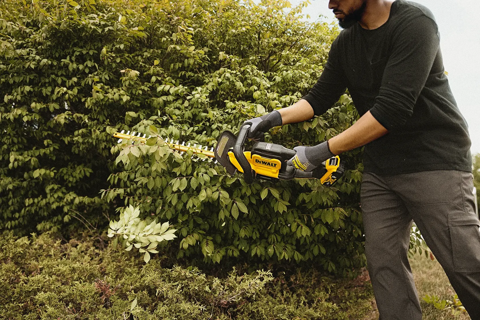 A person using a DEWALT cordless hedge trimmer outdoors to trim green bushes. The person is wearing gloves and the hedge trimmer is yellow and black.