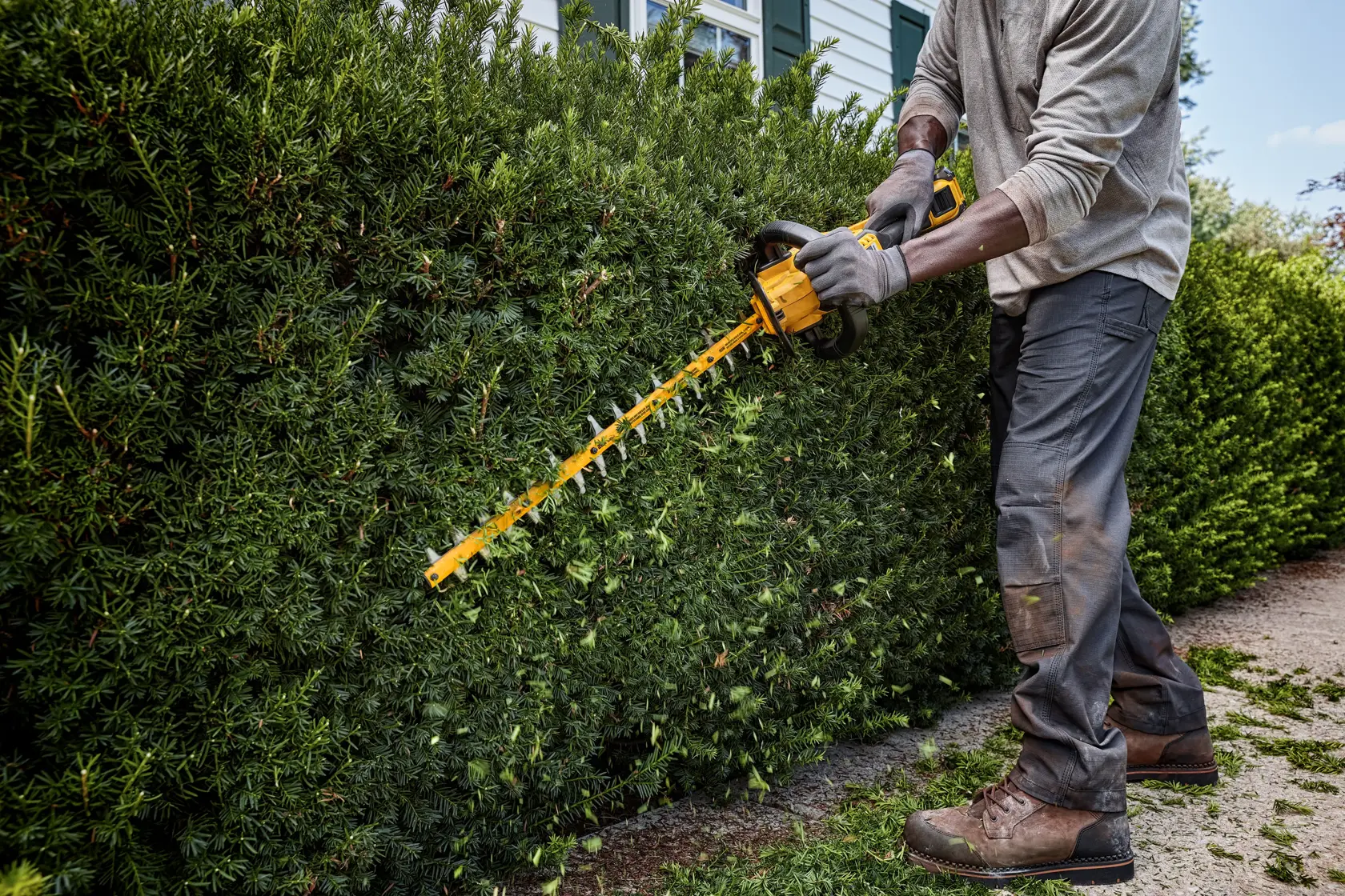 A person wearing gloves and work boots is using a yellow DEWALT cordless hedge trimmer to trim dense green bushes outdoors.