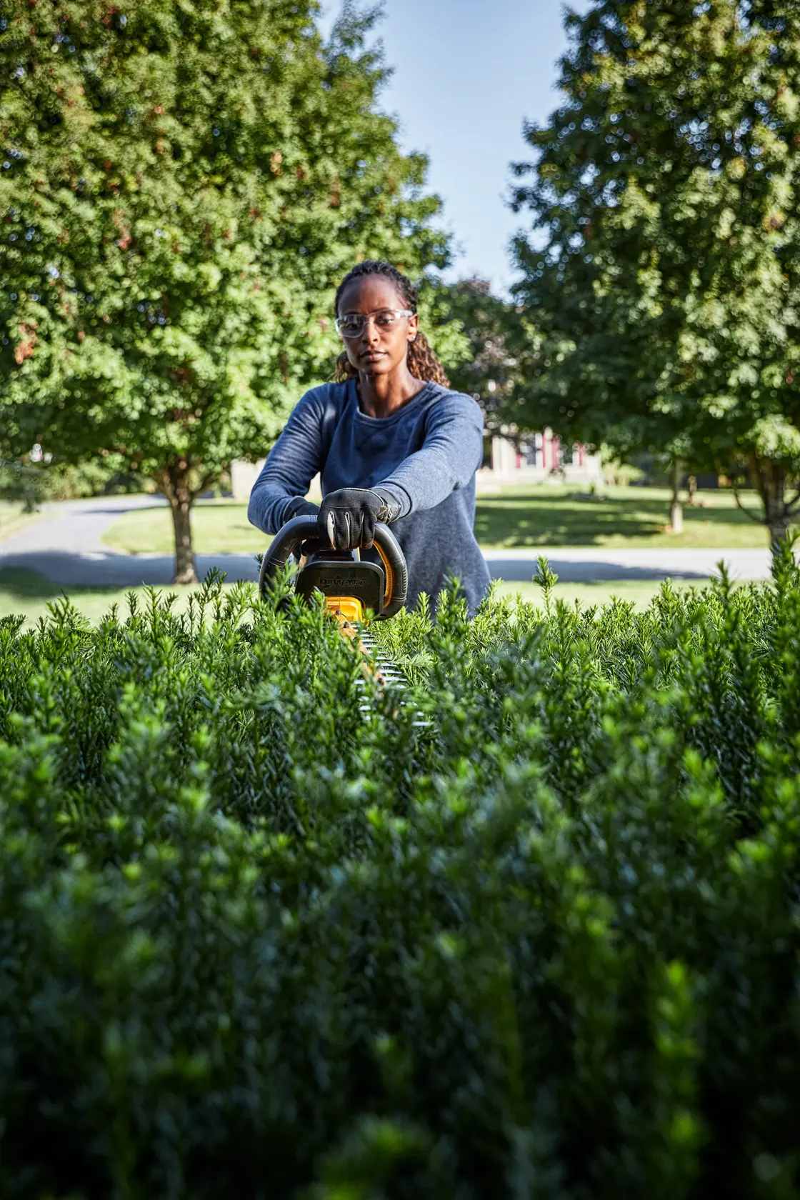 A person wearing gloves using a DEWALT hedge trimmer to trim bushes outdoors, with trees and a clear sky in the background. The person's face is blurred.