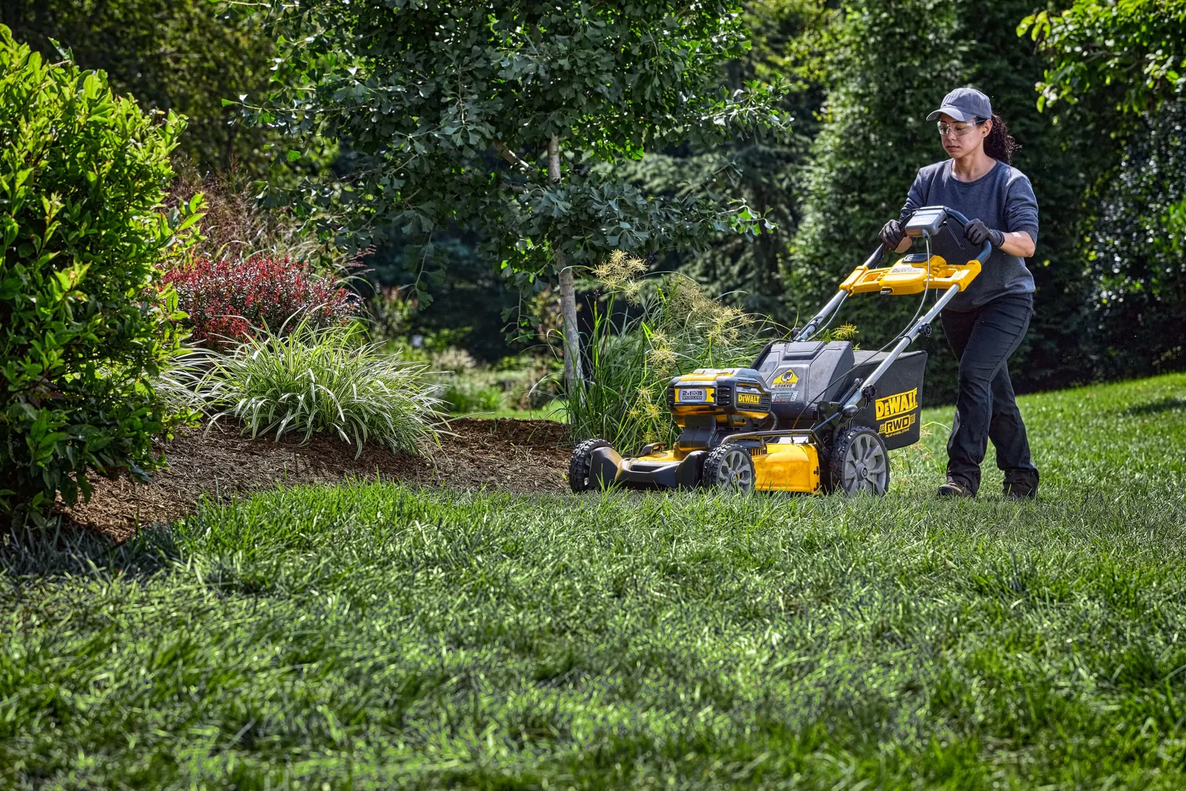 A person is pushing a DEWALT cordless lawn mower on a grassy lawn next to landscaped shrubs and trees. The mower features visible battery packs and is being used outdoors.