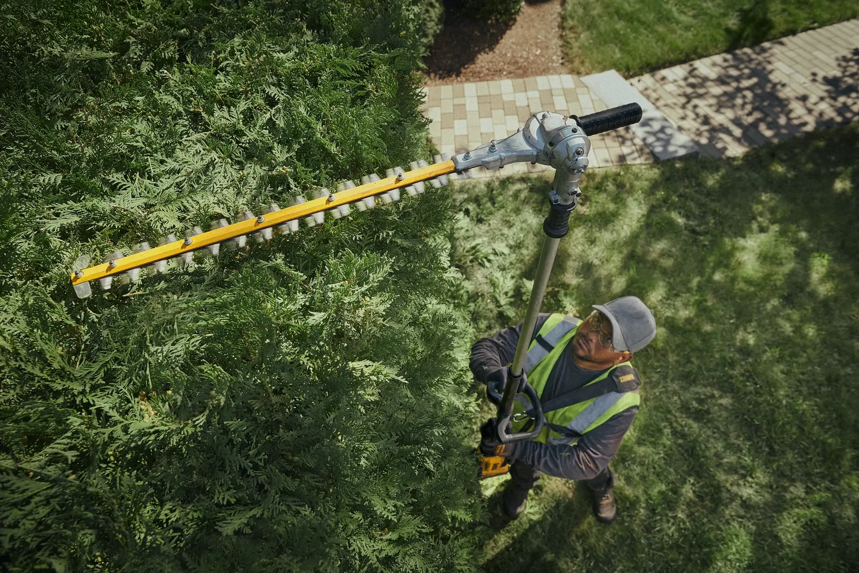 A person wearing safety gear uses a DEWALT pole hedge trimmer to trim tall hedges in a landscaped garden.