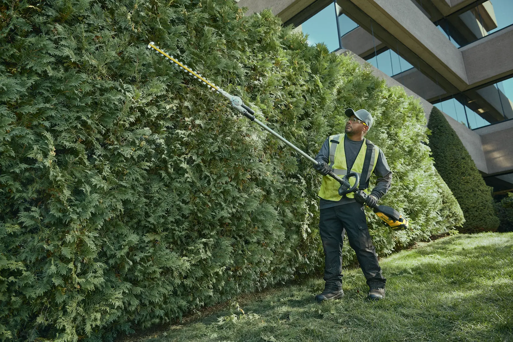 A person wearing safety gear uses a DEWALT pole hedge trimmer to trim tall hedges outside a commercial building. The trimmer has a long reach and is designed for professional landscaping tasks.