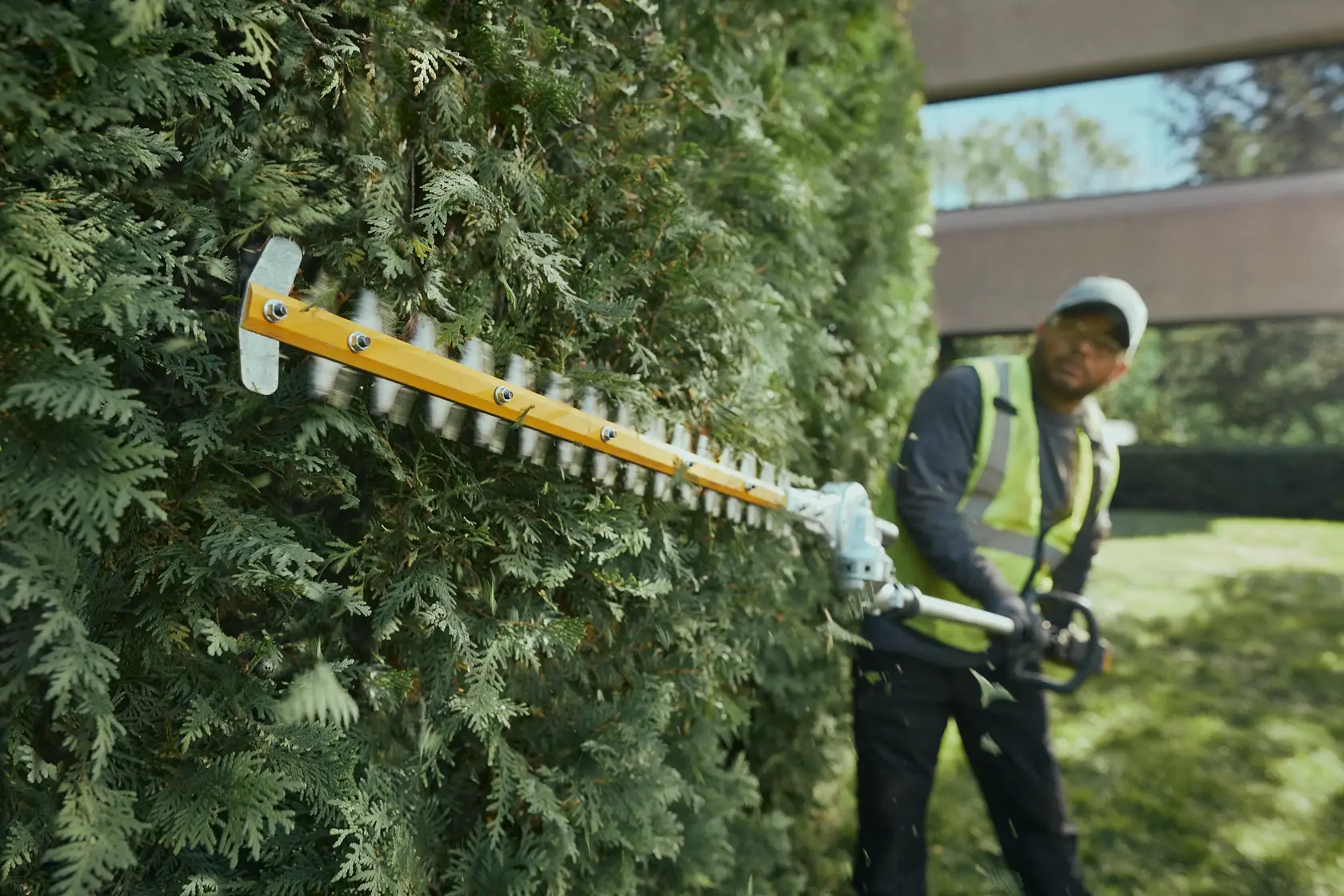 A person wearing safety gear is using a DEWALT hedge trimmer to trim a large green hedge outdoors. The hedge trimmer has a long yellow blade and is actively cutting the foliage.