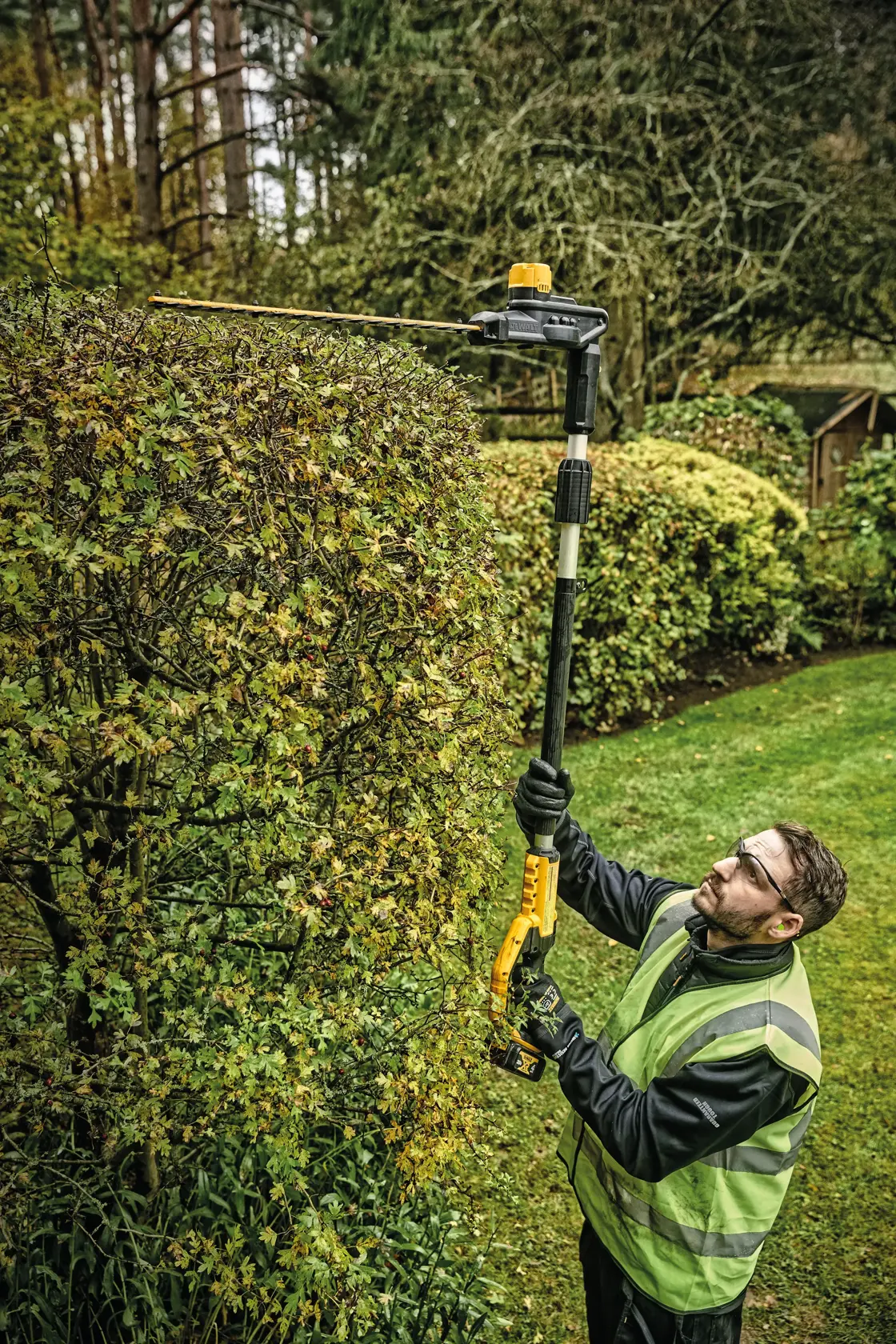 A person wearing a safety vest and gloves is using a DEWALT DCPH820B cordless pole hedge trimmer to trim the top of a tall hedge in a garden.
