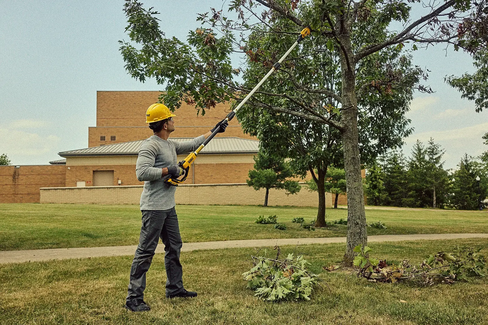 A person wearing a yellow hard hat and safety gloves uses a DEWALT pole saw to trim branches from a tree in an outdoor grassy area. Cut branches are scattered on the ground nearby.
