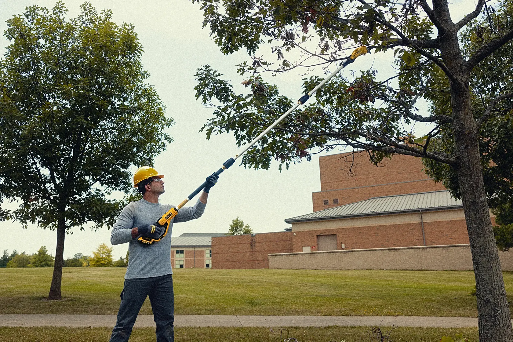 A person wearing a safety helmet and gloves is using a DEWALT pole saw to trim branches from a tree in an outdoor area with grass and buildings in the background.