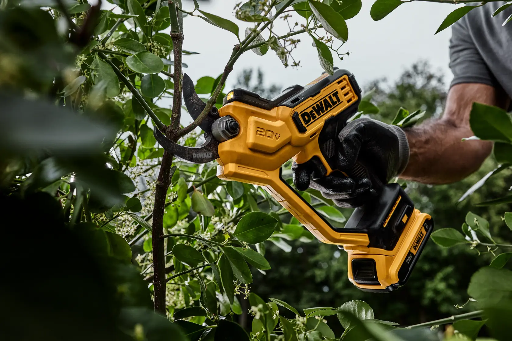 A person wearing gloves is using a DEWALT 20V cordless pruning shear to cut a branch on a leafy plant outdoors.
