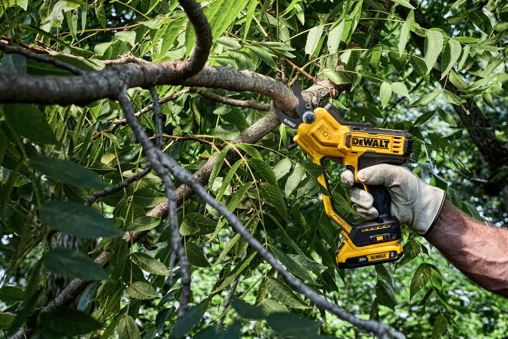 A person wearing a work glove is using a yellow DEWALT cordless pruning shear to cut a tree branch amid green leaves outdoors.