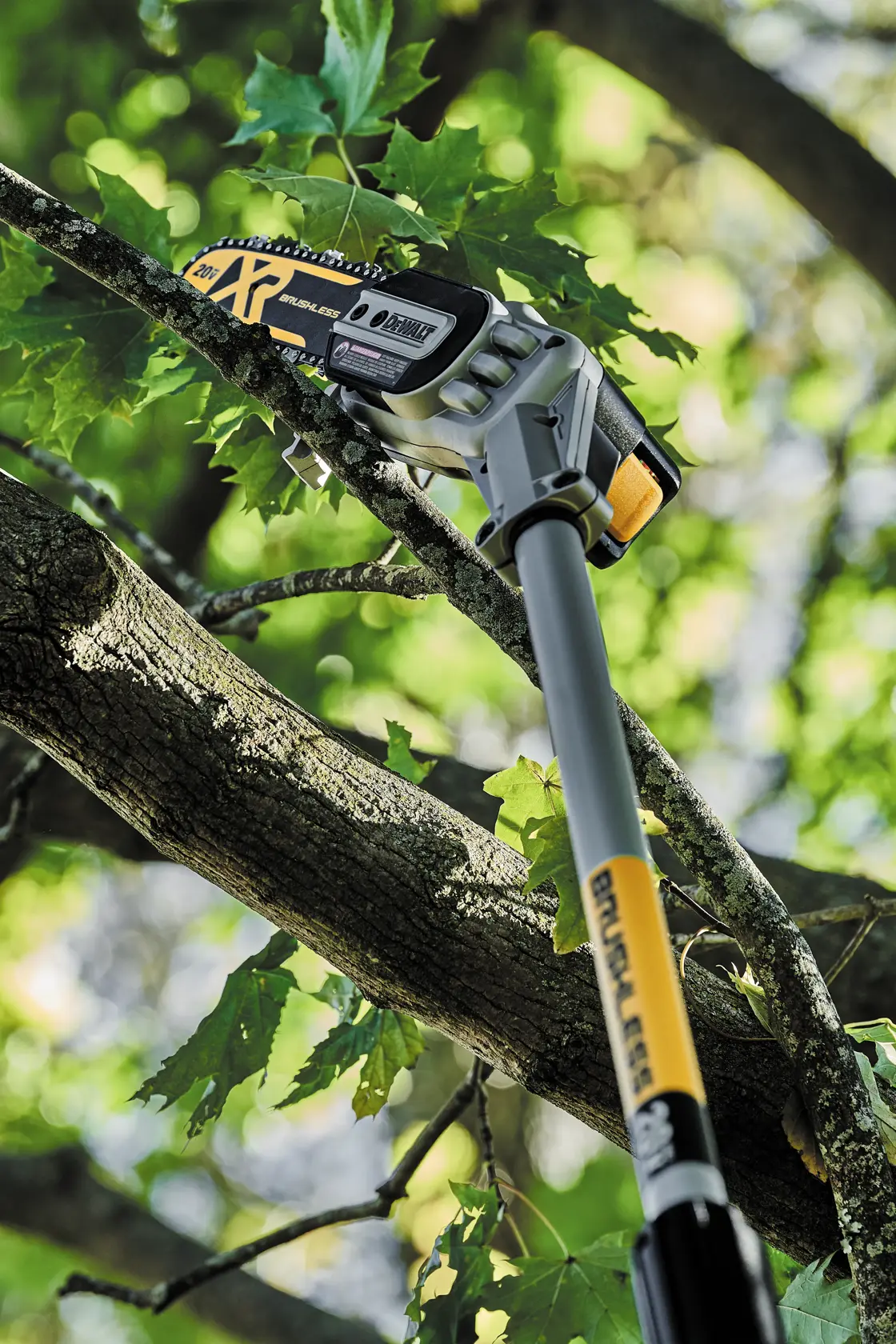 A DEWALT cordless pole saw is being used to cut a tree branch outdoors. The tool is extended and positioned against a leafy branch for trimming.
