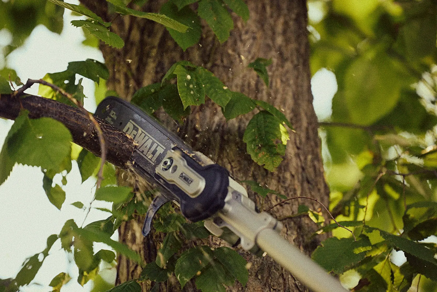 A DEWALT pole saw cutting a tree branch surrounded by green leaves.