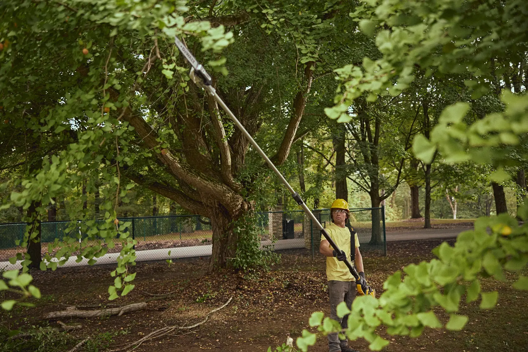 A person uses a DEWALT DCPS675 pole saw to trim tree branches in a park, wearing safety gear and standing on the ground.