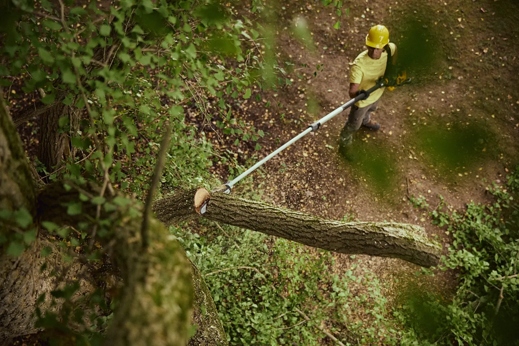 A person wearing a yellow hard hat and safety gear is using a long pole saw to cut a tree branch outdoors. The scene is surrounded by greenery and leaves, viewed from above.