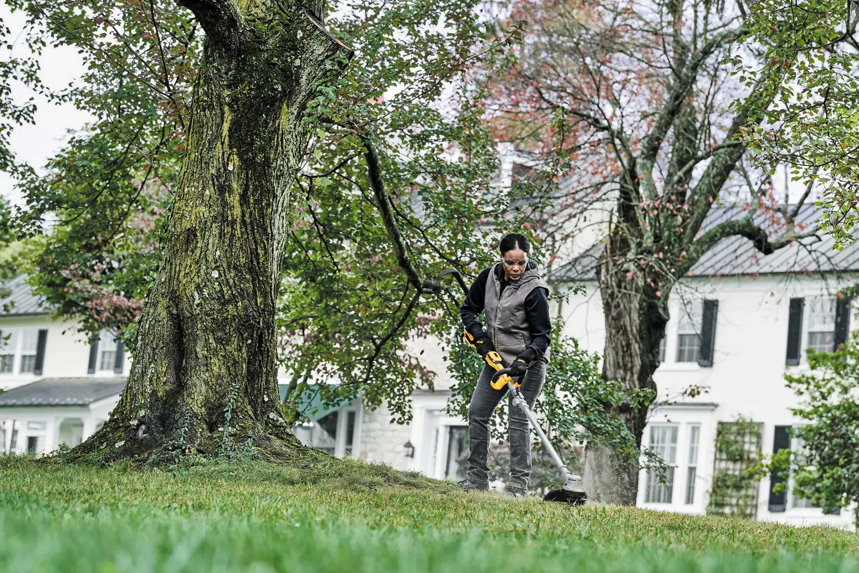 A person using a DEWALT string trimmer to cut grass around a large tree in a residential yard, with houses in the background.