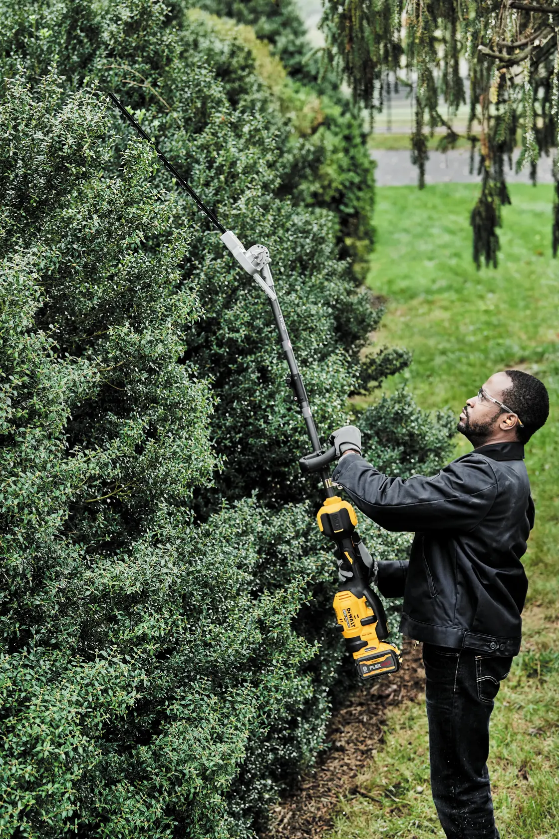 A person is using a DEWALT cordless pole hedge trimmer to trim tall bushes outdoors. The individual is wearing gloves and a black jacket, standing on grass next to a large green shrub.