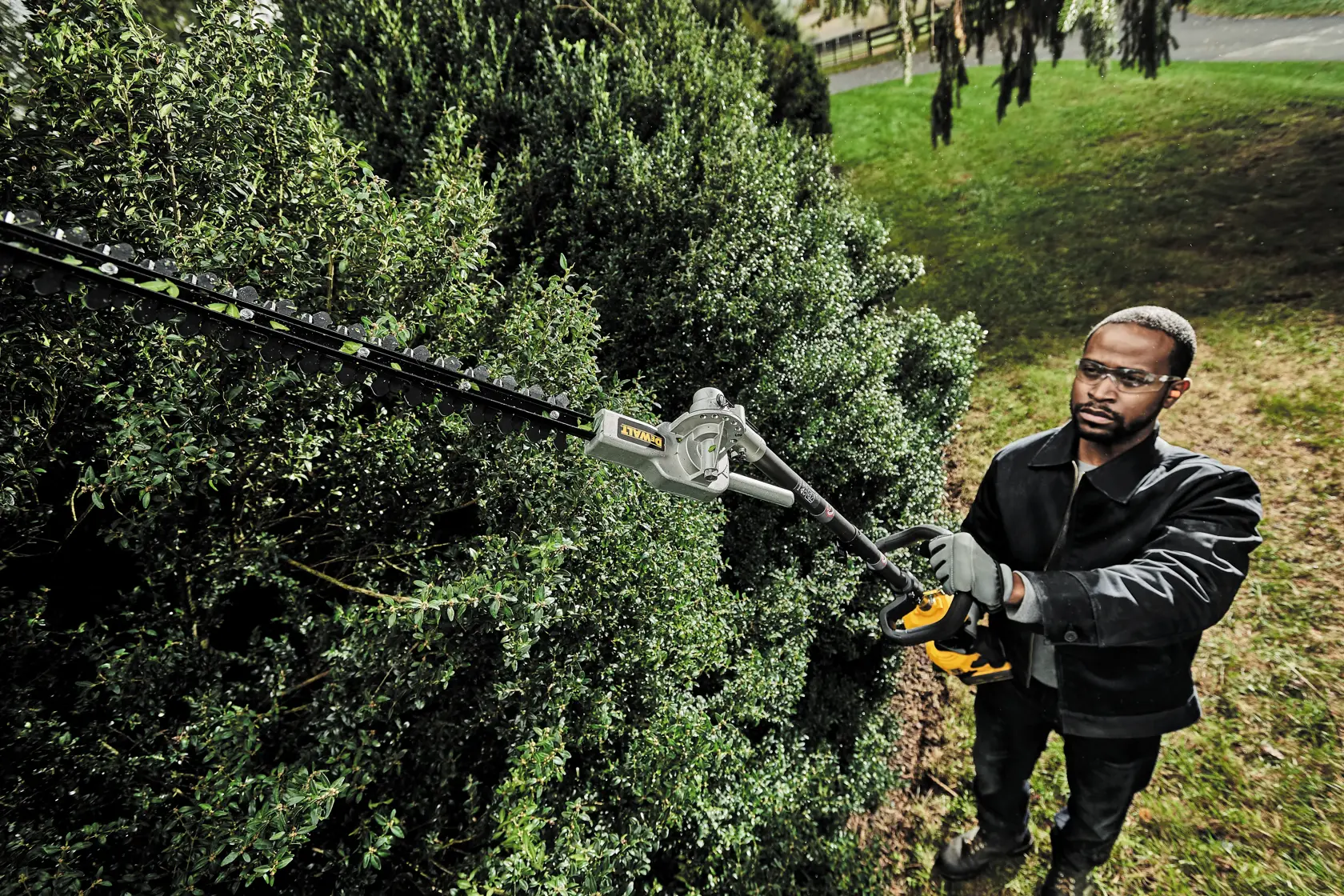 A person using a DEWALT hedge trimmer attachment to trim tall bushes outdoors. The person's face is blurred for privacy.