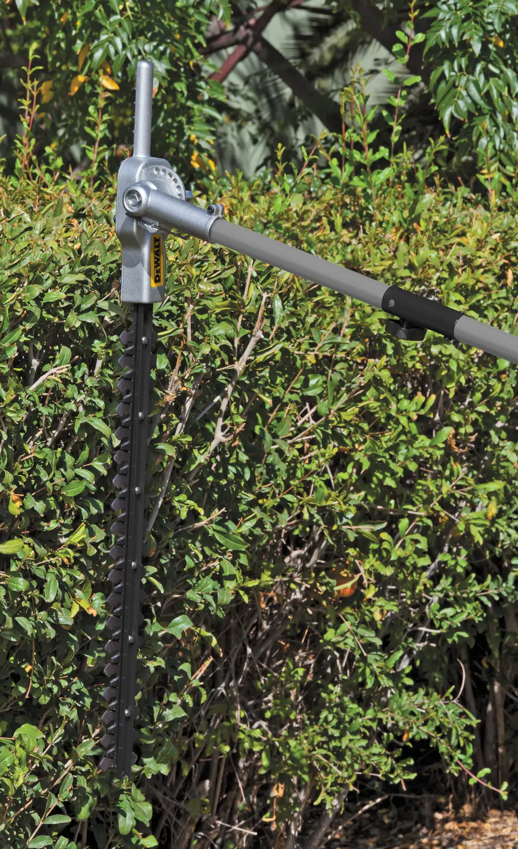 A close-up image of a DEWALT hedge trimmer attachment in use, trimming green bushes outdoors.