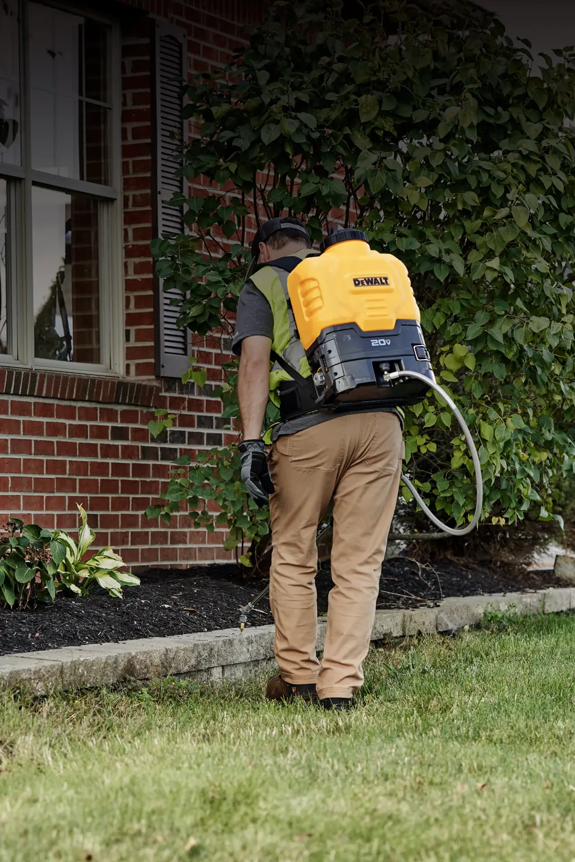 A person wearing a DEWALT yellow and black backpack sprayer is tending to garden plants along the edge of a house with a brick wall.